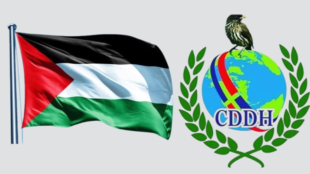 CDDH y organizaciones sociales harán actividad cultural por la paz de Palestina